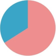 2022年度新卒男女比